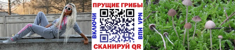 МЕГА как войти Юрюзань Псилоцибиновые грибы прущие грибы купить